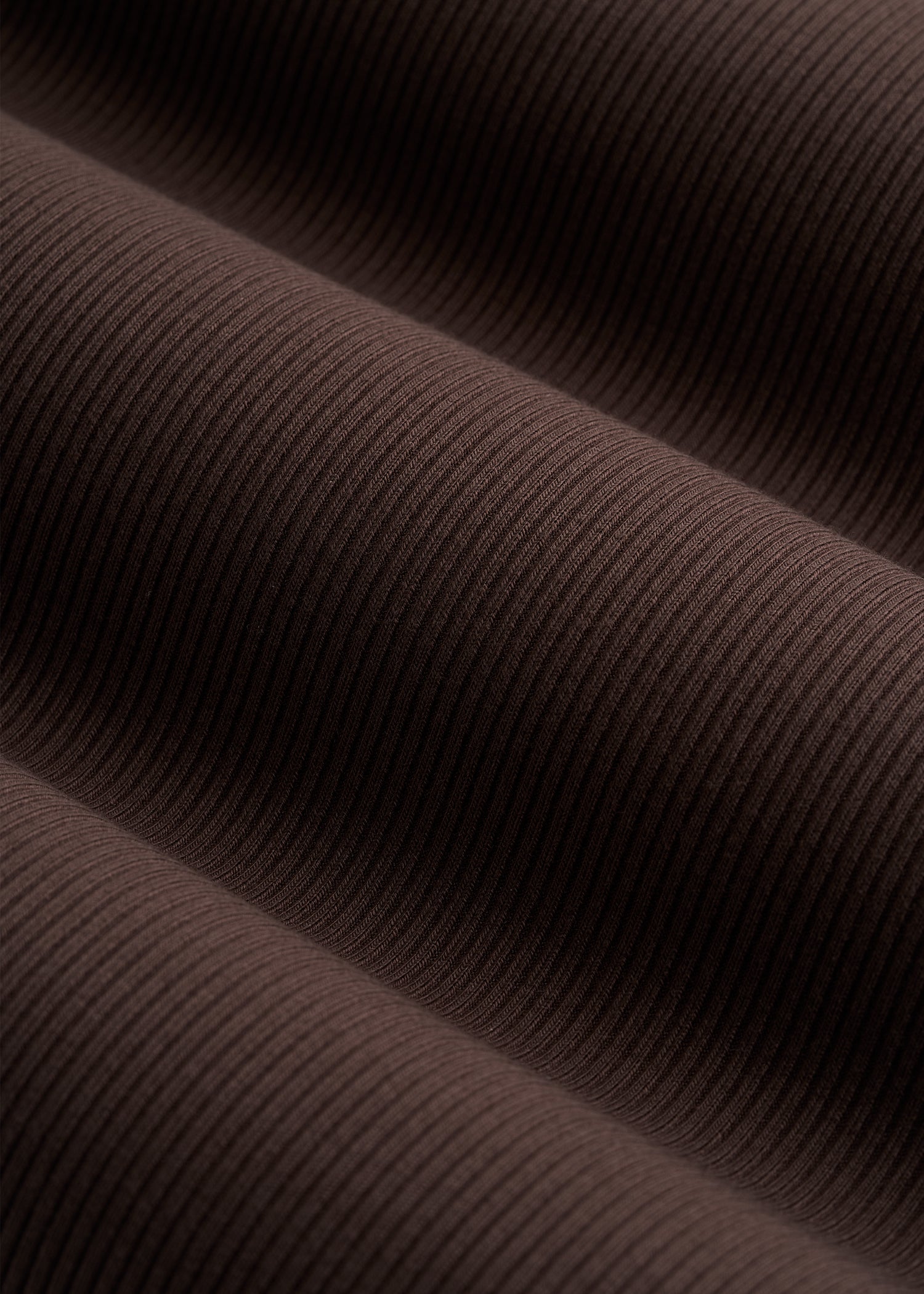 Ribbed Knit Long Sleeve Polo for Tall Women in Espresso
