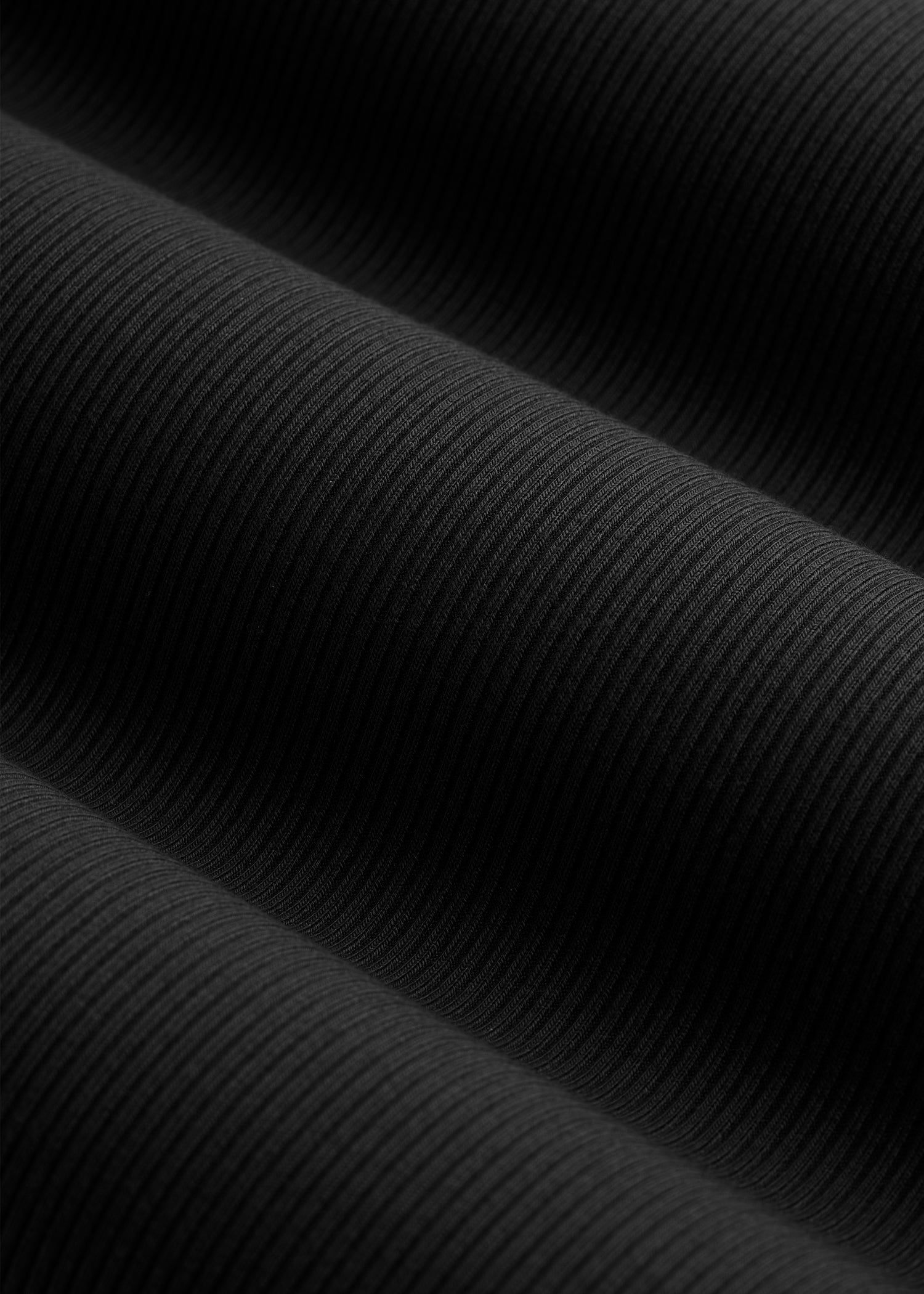 Ribbed Knit Long Sleeve Polo for Tall Women in Deep Black