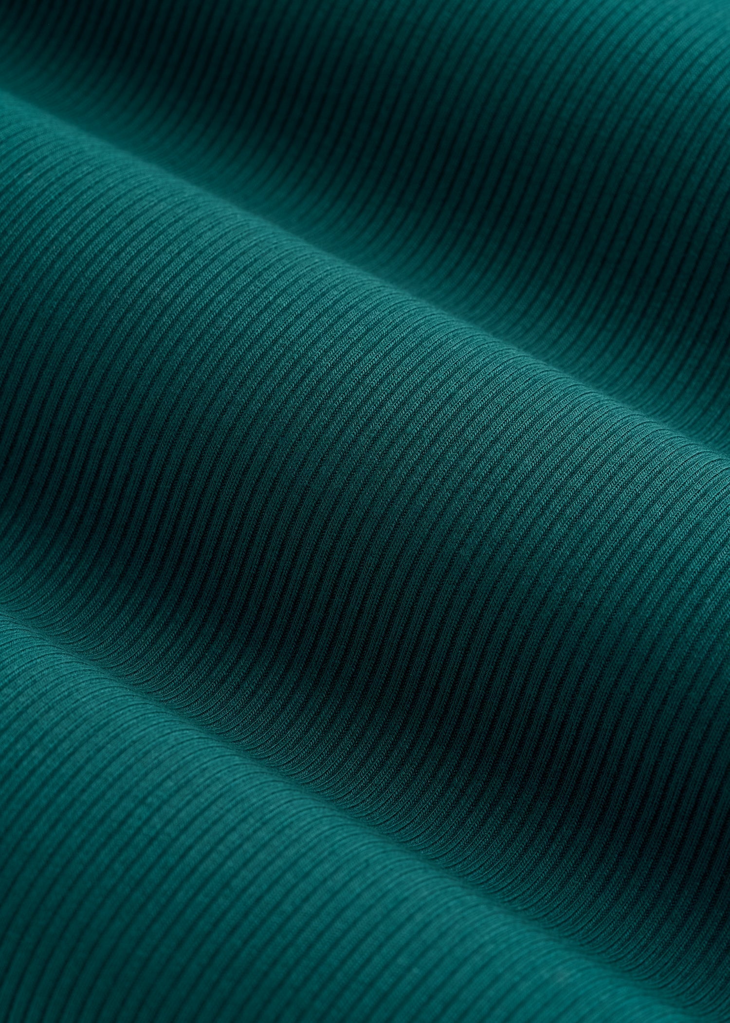 Ribbed Knit Long Sleeve Polo for Tall Women in Deep Teal